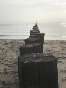img-palen-01